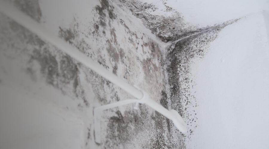 Why choose water damage restoration service for emergency water extraction services in Arlington